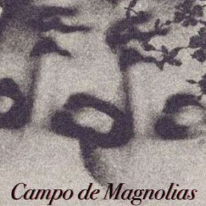 Campo de Magnolias